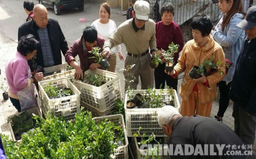 唐山文北街道“三个注重”提升辖区世园会周边环境