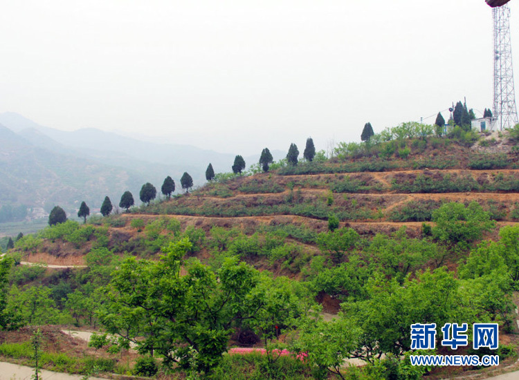 [网络媒体走转改]李保国：与巍巍太行相融 与山区百姓相依