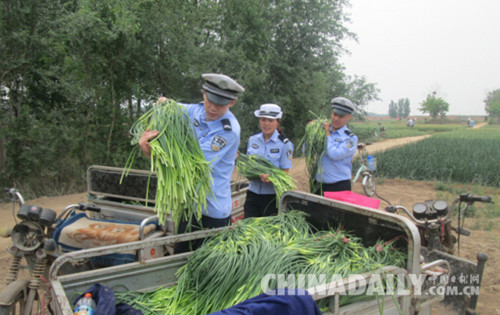 邯郸鸡泽交警下地“打蒜薹”扎实开展“两学一做”活动