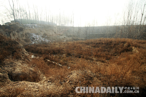 河北馆陶：让“睡眠土地”迸发经济活力