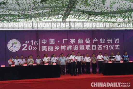 中国•广宗首届葡萄文化博览会启幕