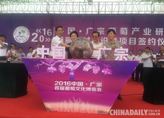 中国•广宗首届葡萄文化博览会启幕