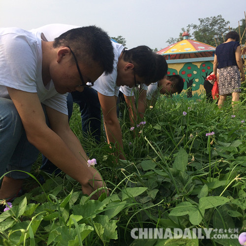 石家庄铁道大学暑期社会实践走进保定涞水