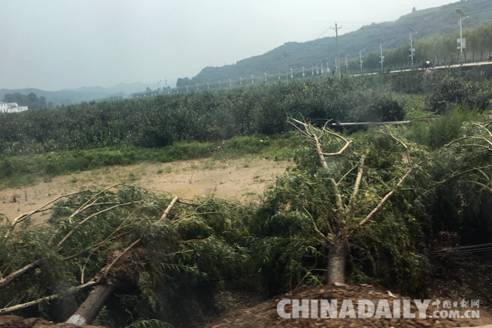 河北省企业社会责任促进会筹20万元救灾物资赴邢台灾区