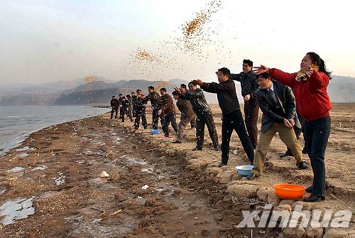 河南：三门峡荣获“中国大天鹅之乡”称号