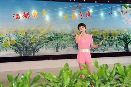 河南宁陵第四届酥梨采摘节盛装开幕