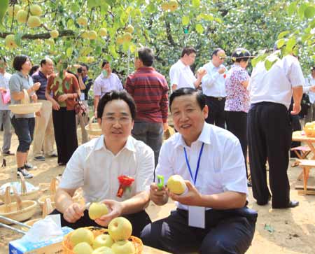 中国·宁陵第四届酥梨采摘节上演葛天古韵音乐会