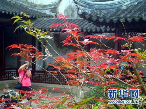 “秋分”秋色浓