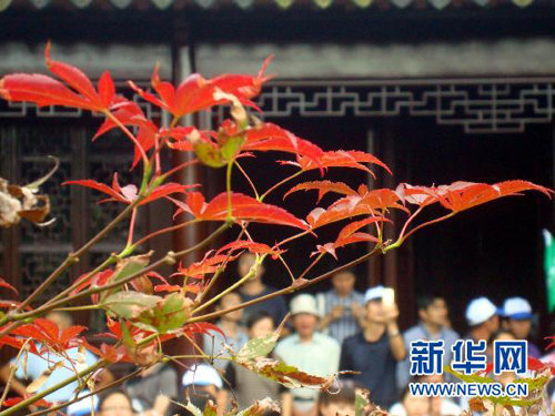 “秋分”秋色浓