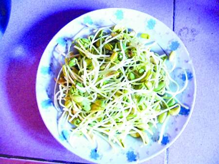 郑州查出化工豆芽黑作坊 推荐家庭自己发豆芽法
