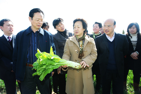 全国科普示范市调研组莅河南永城调研