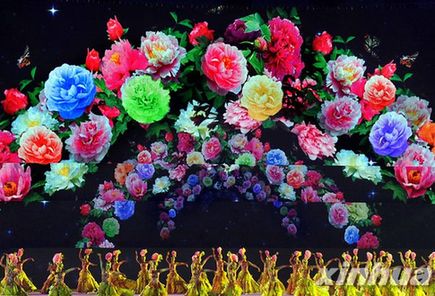 中国洛阳牡丹文化节开幕