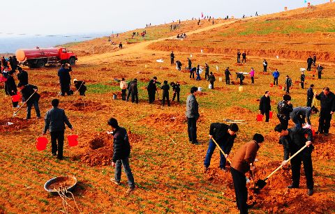 嵩县全民义务植树30年 建成国家级生态示范区