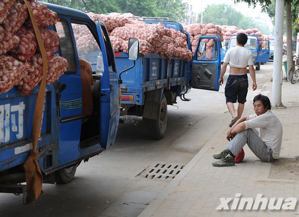 蒜价潮起潮落 市场交易平淡