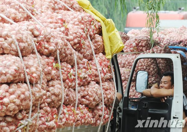 蒜价潮起潮落 市场交易平淡