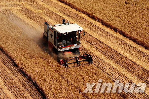 解读中国第一产粮大省连创新高的“密码”