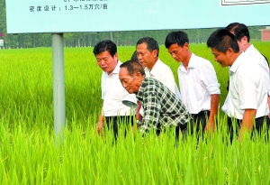 袁隆平与信阳再“握手”