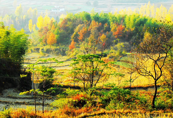 河南固始西九华山冬景如画 （组图）