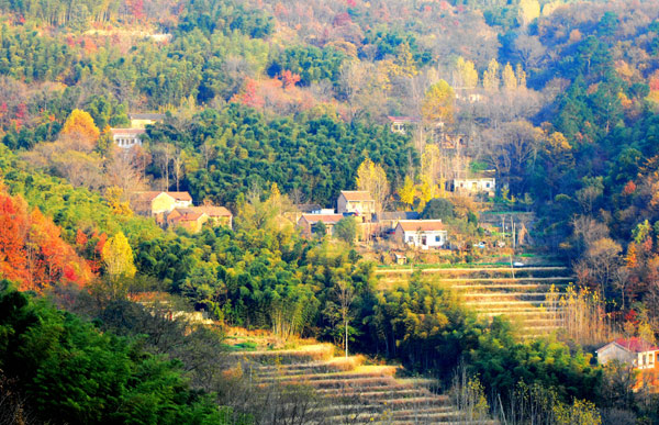 河南固始西九华山冬景如画 （组图）