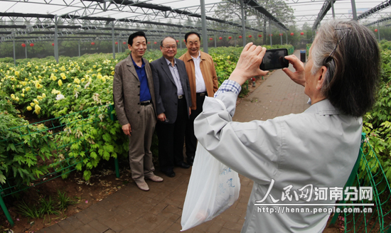 洛阳国际牡丹园进入妁药盛花期