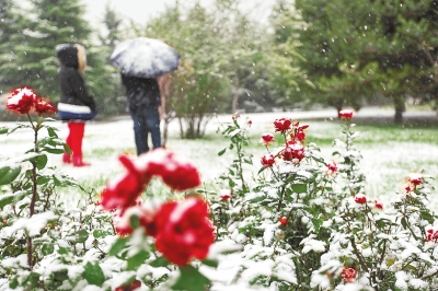 河南迎来今冬首场雪 多地气温开启零下模式