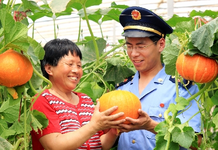 宁陵：让党徽在新农村闪光