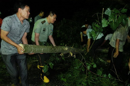 河南嵩县突遭罕见冰雹袭击 农作物受灾严重