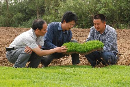 河南潢川：大力发展“籼改粳”工程