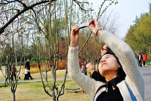 郑州：阳春三月花烂漫