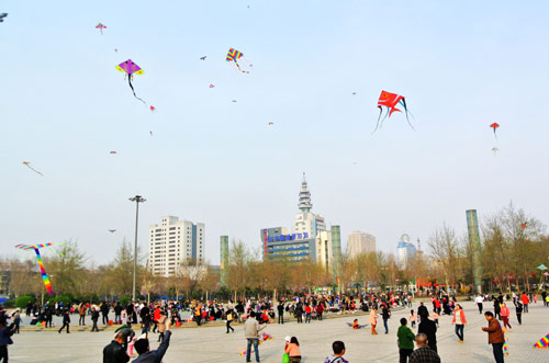 郑州：阳春三月花烂漫