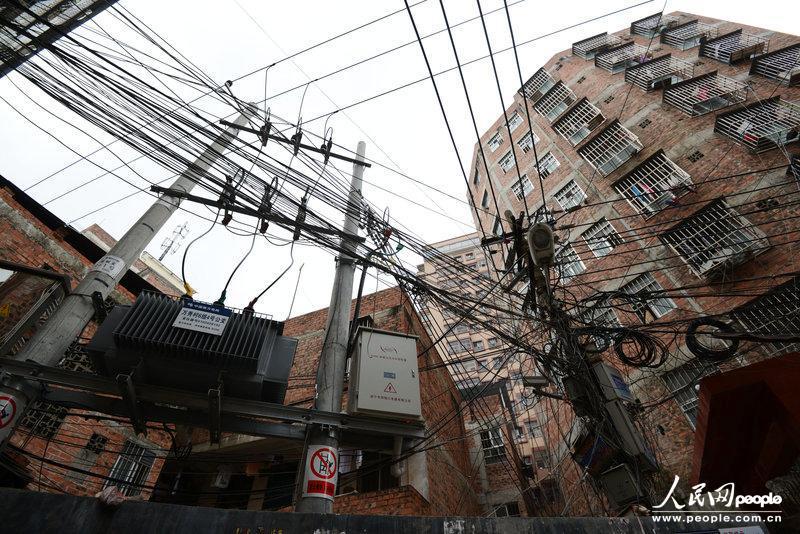 唐河县公安局半个月打掉两个盗窃耕牛犯罪团伙