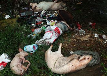 沁阳市实验小学特色办学值得学习和推广[1]