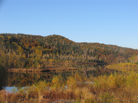 “第三届龙江行”采访团抵达伊春，感受“森林氧吧”