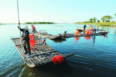 小小竹排水中游 美丽湿地身边走