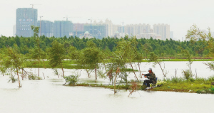 城中湿地 和谐之美