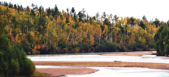 呼玛“五花山”