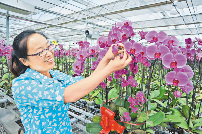 观光农业如火如荼