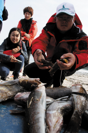 最肥海鲜季诱人上海岛 一边海钓一边赏美景
