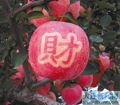 品种不一味道不同 新上市的苹果怎样吃出更好