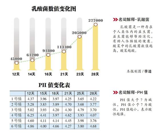 酸菜腌制1个月再吃最安全 乳酸菌达峰值口感酸爽脆