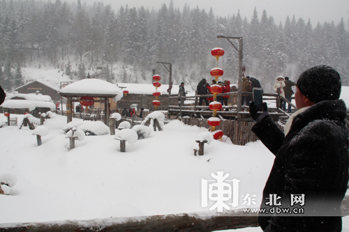 百家旅行社和旅游电商体验龙江冰雪游 为冰雪之冠“点赞”