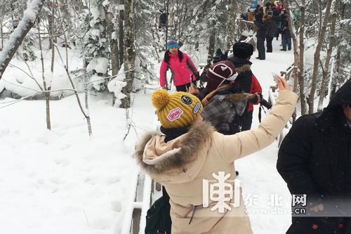 百家旅行社和旅游电商体验龙江冰雪游 为冰雪之冠“点赞”