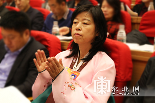 聚焦省政协十一届三次会议上的“最炫名族风”