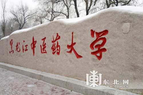 发展对俄中医药养生保健旅游 助力龙江