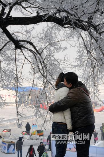 今年最美雾凇光临冰城 “银花”绽放如仙境(图)