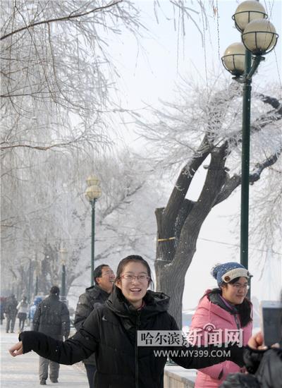 今年最美雾凇光临冰城 “银花”绽放如仙境(图)
