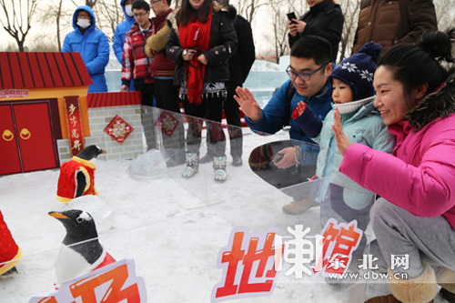 哈尔滨极地馆白眉企鹅集体穿唐装迎新年