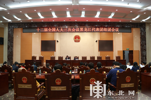 出席十二届全国人大三次会议黑龙江代表团举行组团会议