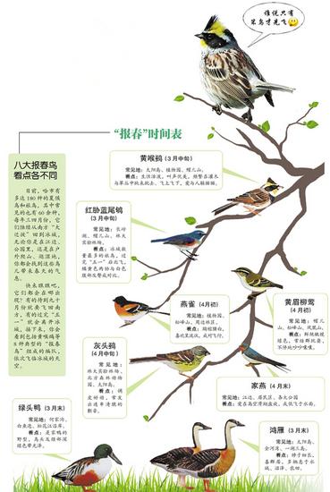 哈尔滨第一只