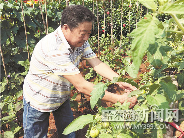 哈尔滨七旬老夫妻定制百万房车 浪漫携手游遍半个中国
